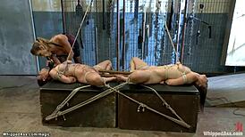 bound lesbians flogged and whipped