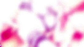 Barbie Sins Takes Monsters Of Dap Balls Deep Anal With Gapes And Swallow By Gio753