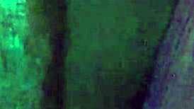 Nikki Deepthroats Big Black Cock for Facial