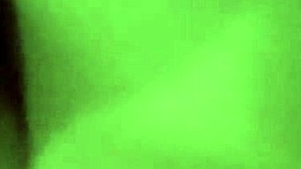 Amateur couple and a dog in a bareback threesome