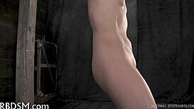 Gagged Playgirl Receives Rough Oral Bondage