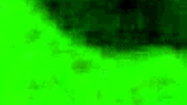 the chinese whore gives an intense handjob to her client