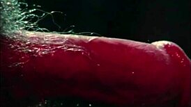 Occult group indulges in bardo orgies.