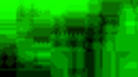 mature black lady performs oral on dick