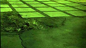 A teen milf dominates with hardcore fucking