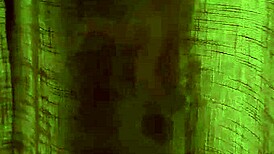 spying on cheating wife getting bbc creampie while squirting and blowing