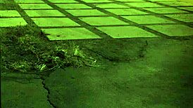 A teen milf dominates with hardcore fucking