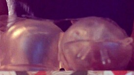 Fucking that fleshlight while moaning about Michelle 😏