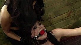 Spidergag lesbian strapon bondage session