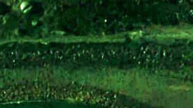 barrel girl submits to master in intense bdsm humiliation session