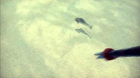 Discovering a shape shifter hot smile girl with growing boobs on the beach in monstergirl island hentai game ep 13