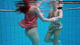 Bubarek and birtakik relax in the pool