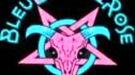 sucking huge dick while sticking dildos in my boyfriend's butt