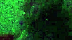 i snuck in and fucked my wife missionary style in our homemade spot, her pussy tight around my cock