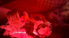 i feel so excited seducing zoey foxx into my first lesbian scissoring with isabella nice