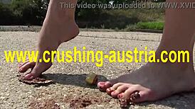 amber plays with feet and food outdoors