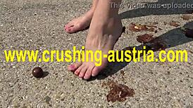 amber plays with feet and food outdoors