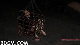 have you seen this clamped hottie getting a hook in her anal with a toy? she sucks cock and gets dominated hard.