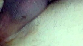 Viewing the movie file 0024