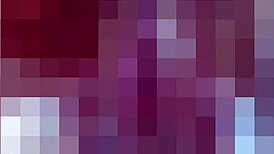 Foot Job Slave Has Her Feet worshiped and sucked