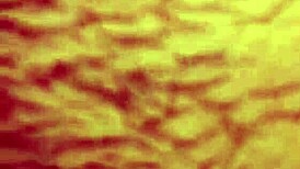 Drippinglips85 尝试用玩具和鸡巴双插