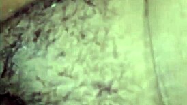 Homemade deshi sex, bhabhi bent over by indian friend