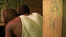 ebony gets licked and fucked in cowgirl by horny bbc with dirty talk and ass licking