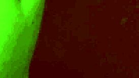 damn, these twinks got their yummy asses rimmed in a wild blowbang