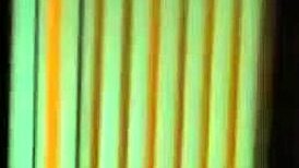 Roommate Caught Me Fucking Ebony Babe In Dorm