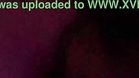 拉丁BBW熟女好好吸黑公牛大鸡巴