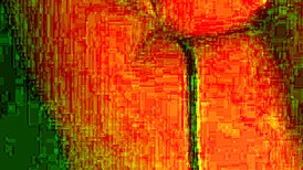 The rich brunette woman shares her homemade moments with friends.