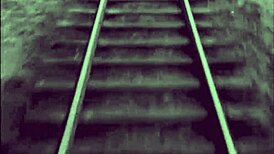 Two centuries of vintage pornography featuring hairy pussy fucking