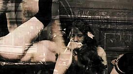 My Secret Life Vintage Bold Reveal