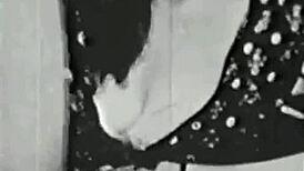 My Secret Life Vintage Bold Reveal