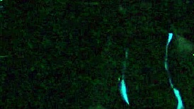 Scarlett Johnson Engages In Intense Blacklight Sex Fetish Scene