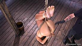 wet latina pussy bound and toyed with dildo in rough bondage