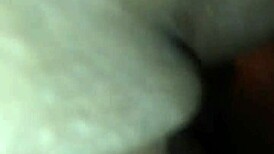 thick detroit chick getting nailed hard in her wet pussy