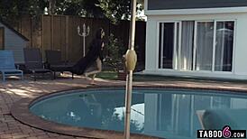 Employee Corners Boss and Fucks Transgender Wife in Doggy Style Over Desk