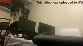 Sexyboysasss Buttt Budz Features Transsexual Performers In Engaging Shows.