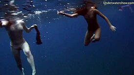 steamy underwater adventures on tenerife coast