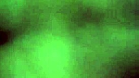 paula the slut wife cheats with black guy