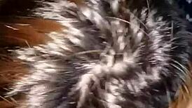 Tonight I blow my boyfriend's big cock so sweet, monster penis episode 27