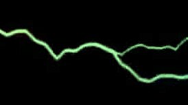 Interview at porn casting with milf Candy turns spicy