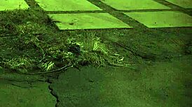 Teen Strips for Boyfriend in Bondage, Clothes Ripped, Extreme Domination