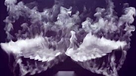 angel lima and tigrão fucking on the bar counter?