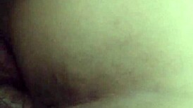 My Sweet Wife's Daily Life