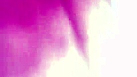 My Sweet Wife's Daily Life