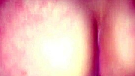 this brazilian college girl is on instagram michele69sp