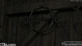 Four Petite Angels Trapped In A Cage, Begging For Release And More