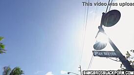 Exotic black milf's phat ass gets fucked hard